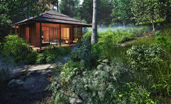 The Gorilla Forest Camp is the only luxury lodge within the Bwindi Impenetrable Forest.