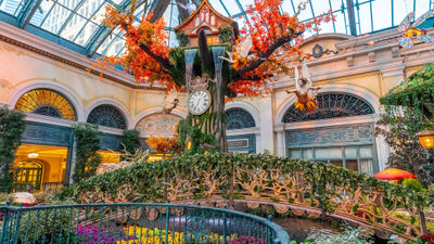 There are 675,000 autumn-colored leaves throughout the display at Bellagio.