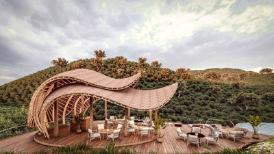 A rendering of the pool and bar area at Erebero Hills, expected to open in Uganda's Bwindi Impenetrable Forest in 2026.