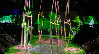 A Shanghai acrobatics show was a worth an hour-long drive to get there.