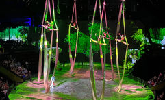 A Shanghai acrobatics show was a worth an hour-long drive to get there.