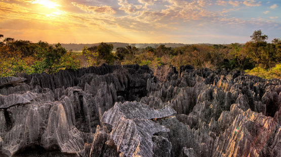Madagascar