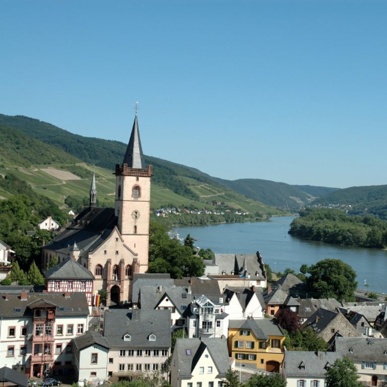 Rhine River Cruises