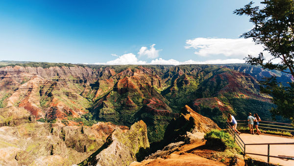 Taking in the view at Waimea Canyon State Park, known as the "Grand Canyon of the Pacific."