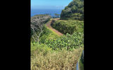 The nine-mile walk connecting Omoa and Hanavave, the only two villages on Fatu Hiva, offered varied and stunning vistas.