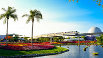 Walt Disney World